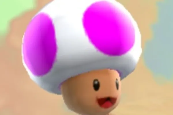 Mailtoad