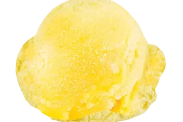 Lemon Sorbet