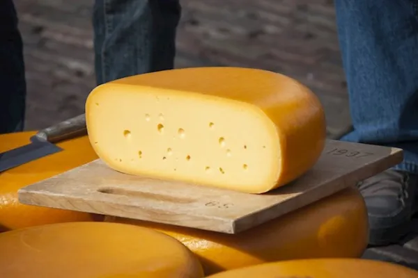 Gouda