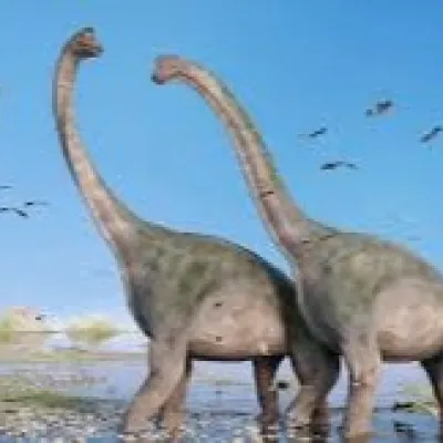 Favourite Dinosaur