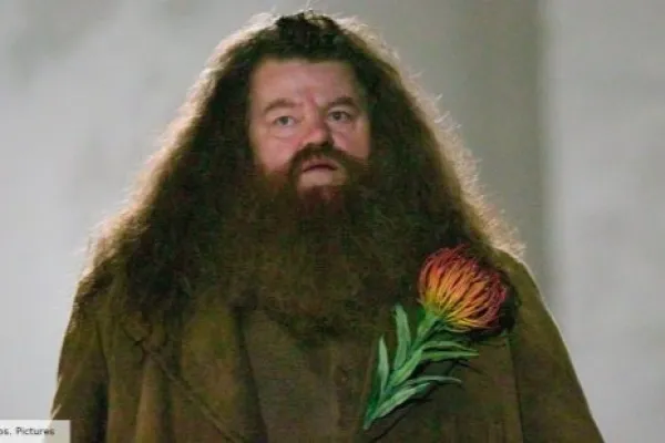 Rubeus Hagrid