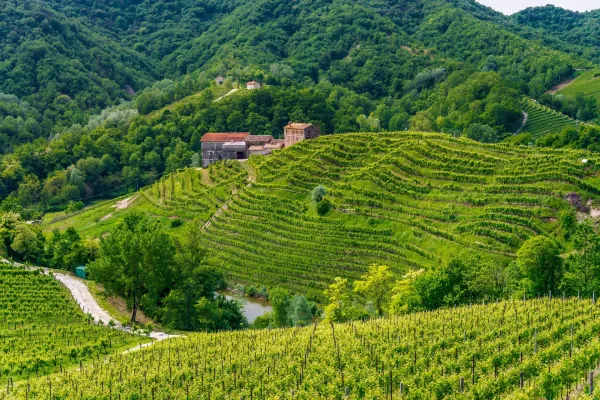 Le Colline del Prosecco di Conegliano e Valdobbiadene, Italy