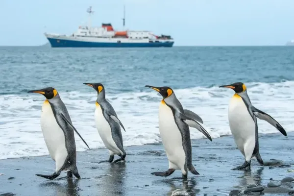 Cruising Antarctica