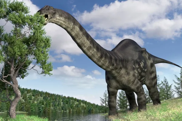 Brontosaurus